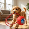 Balle interactive