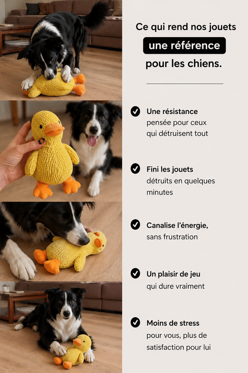 Garantie 365 jours