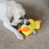 Jouets pour chiens indestructibles