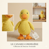 Jouets pour chiens indestructibles