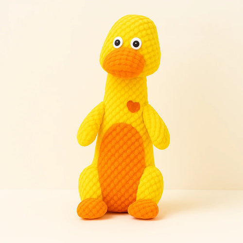 Jouets pour chiens indestructibles